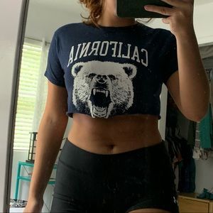 PACSUN very cropped California tee